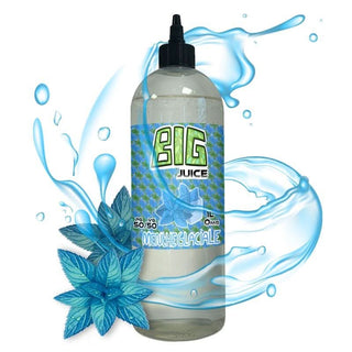 Big Juice Menthe Glaciale 1L - Big Juice