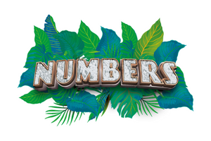 NUMBERS