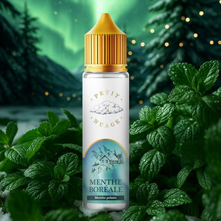 Menthe Boréale 50 ml - Petit Nuage - PETIT NUAGE | PauseClopes