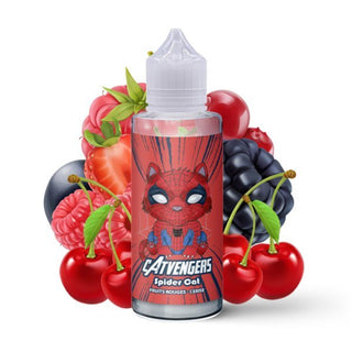 Spider Cat Catvengers - CATVENGERS | PauseClopes