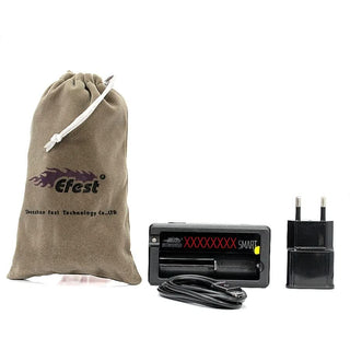 CHARGEUR EFEST XSMART